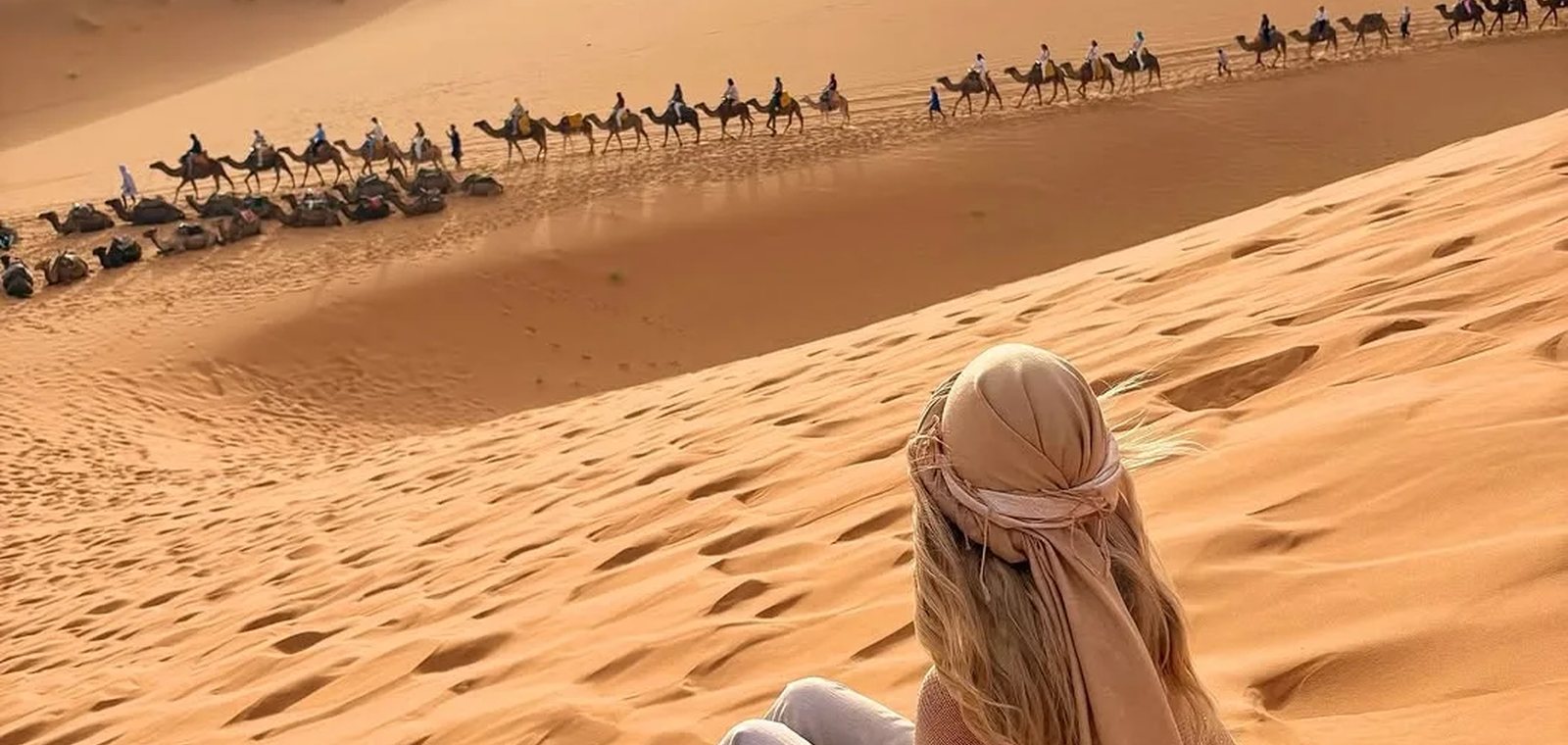 Caravana de camellos en el desierto del Sahara al atardecer