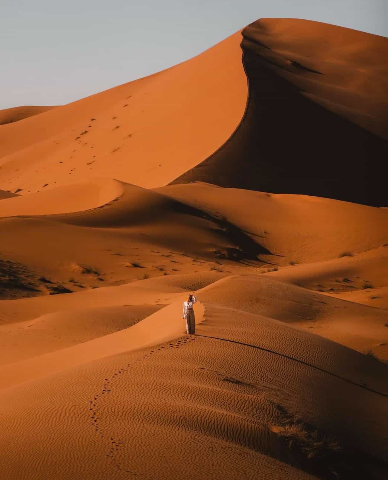 Viajera contemplando las dunas del Sahara