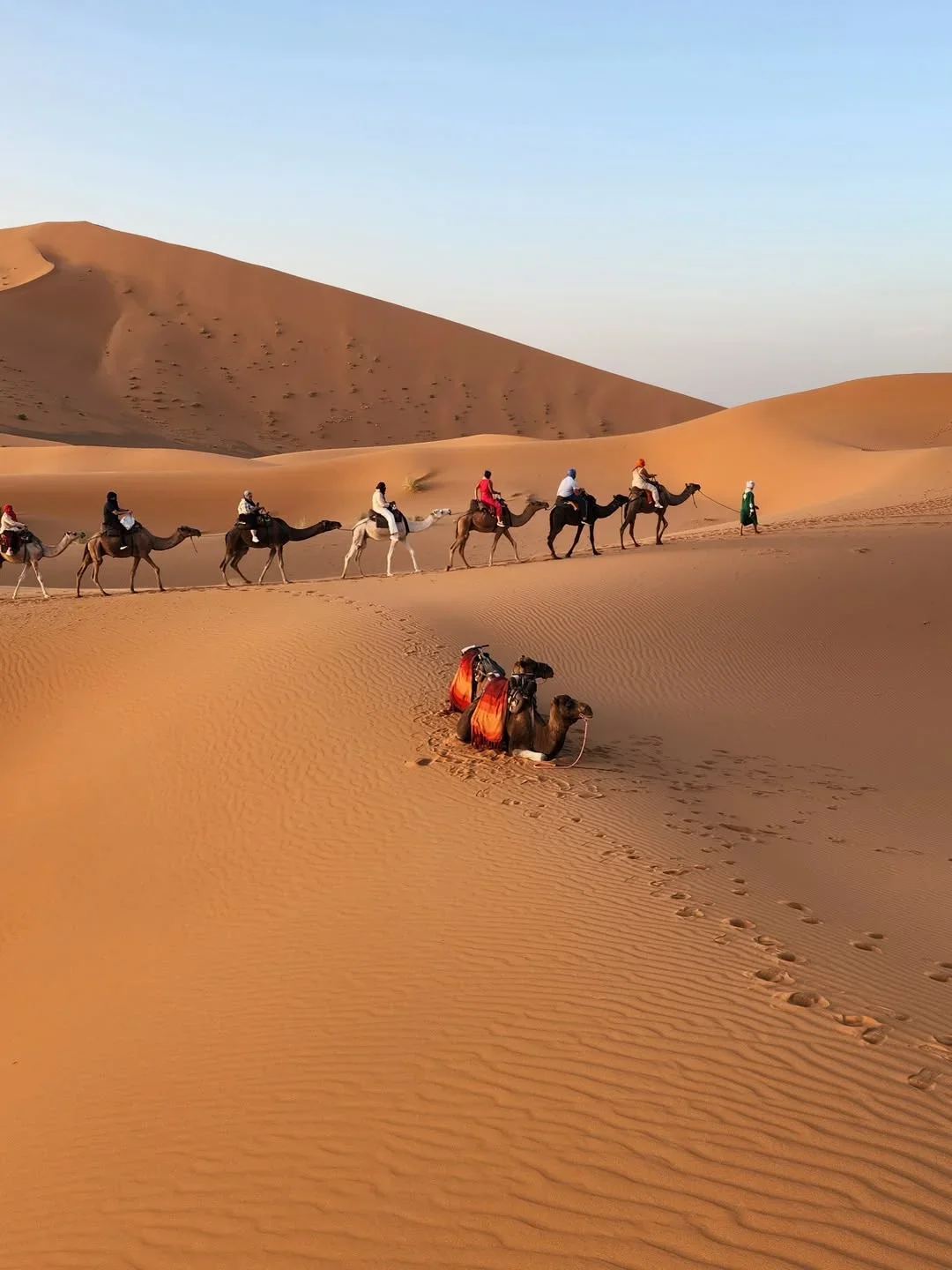 Caravana de camellos cruzando las dunas del Sahara