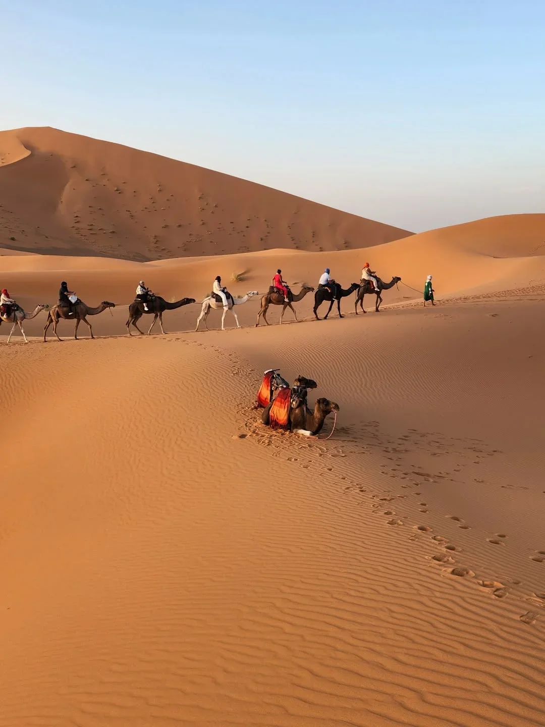 Caravana de camellos en las dunas de Merzouga