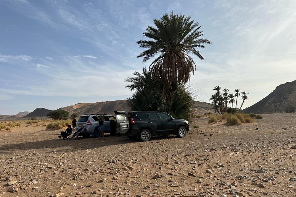 Parada junto a un oasis del desierto con el 4x4