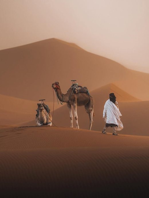 Tour de 5 Días desde Casablanca: Fez y el Sahara